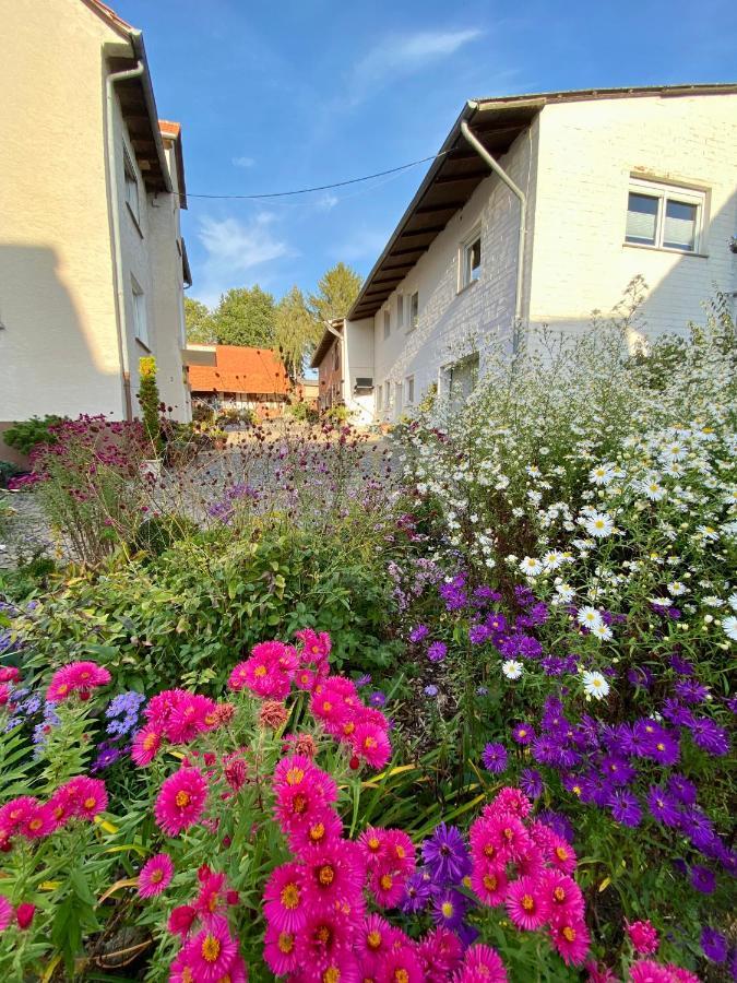 Ferienwohnung Riese Nordhessen Felsberg Экстерьер фото